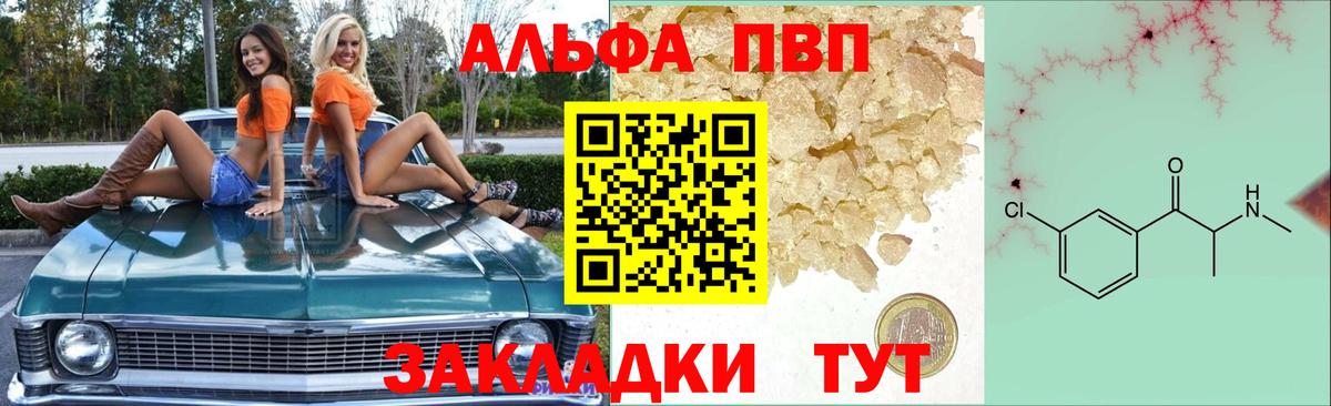 A PVP СК КРИС Юрга