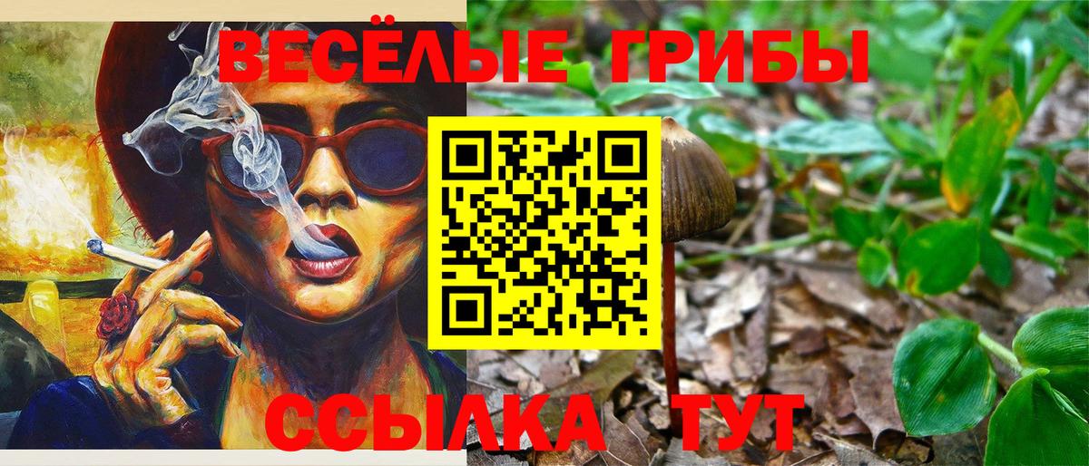 Псилоцибиновые грибы прущие грибы  дарнет шоп  Юрга  Псилоцибиновые грибы GOLDEN TEACHER  Вход с VPN 