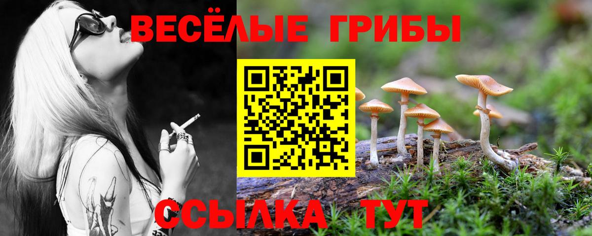 Галлюциногенные грибы Cubensis Юрга